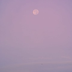 Brahms Intermezzo Op.118-2, electric piano, 電子ピアノ, ブラームス 間奏曲