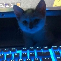 Lacampanella w/ greyrock + casanovaa