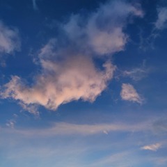MORNING DRIVE [MIXED GENRES]
