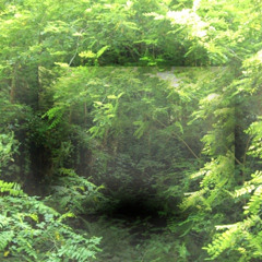 ZOMBIE ARLEKIN 40000 + DATA404