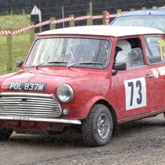 Rally Cars - Busy Throttle