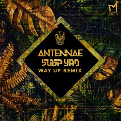 An - Ten - Nae - Way Up (Subp Yao Remix)
