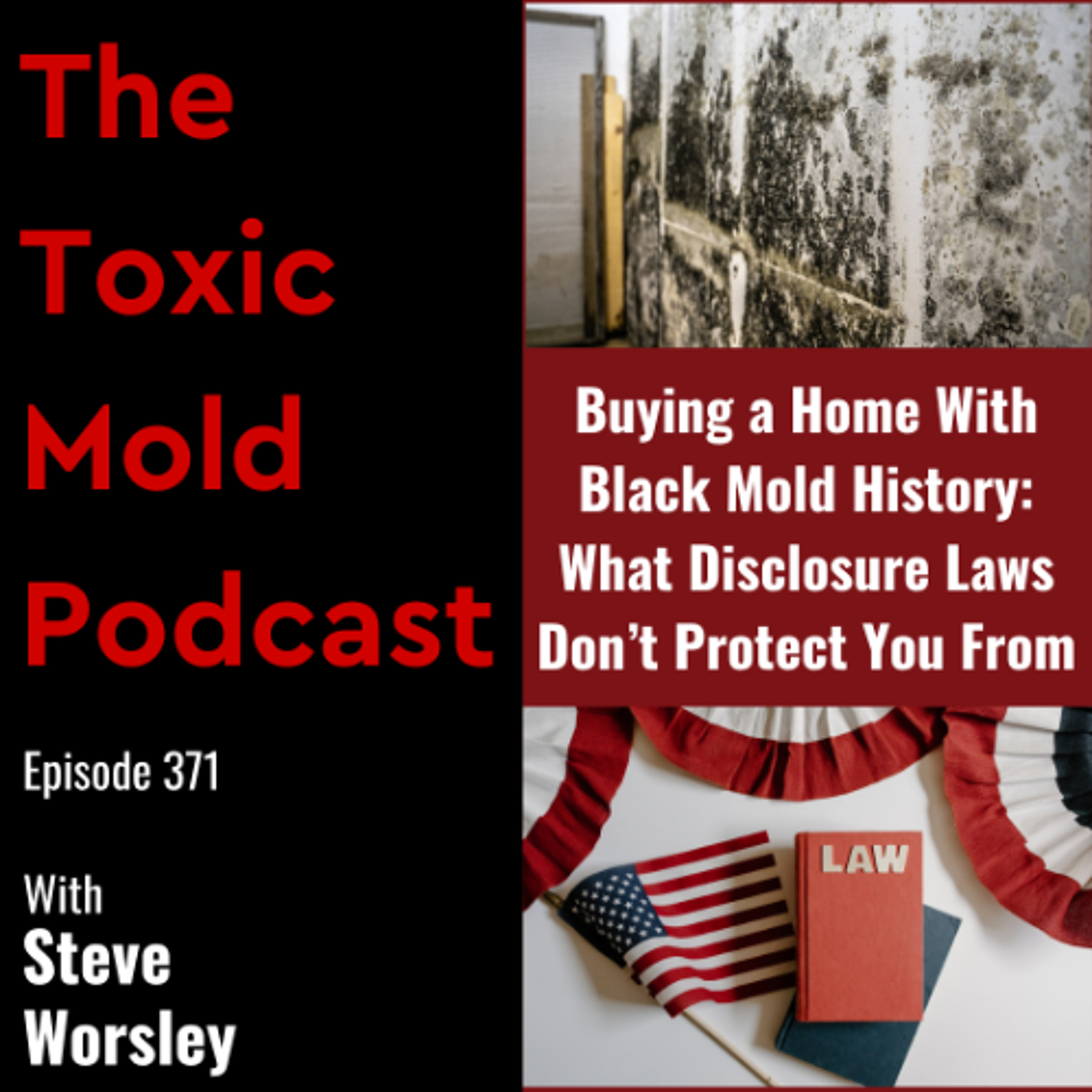 EP 371: Buying a Home with Black Mold History: What Disclosure Laws Don't Protect You From episode artwork