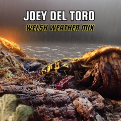 JOEY DEL TORO - WELSH WEATHER MIX