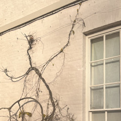 S͎o͎m͎e͎t͎h͎i͎n͎g͎ ͎i͎n͎ ͎t͎h͎e͎ ͎a͎i͎r͎¯´·.·★  p̴r̴o̴d̴ ̴b̴y̴ ̴s̴0̴u̴l̴