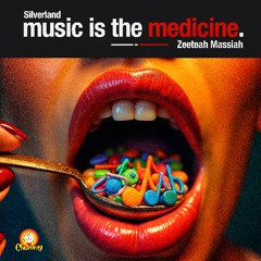 Music Is The Medicine - Radio Edit