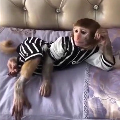 Next Love - BADMIXY ( vrach r&b ver. ) | Sì Ladies