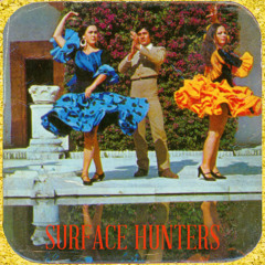 Surface Hunters