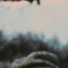 séculos & séculos de