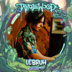 Tanglewood Festival NYE | Feather Print Takeover - LE'BRUH
