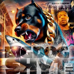 Big Dog Shyt - Tana9.13