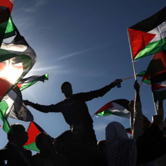 free palestine
