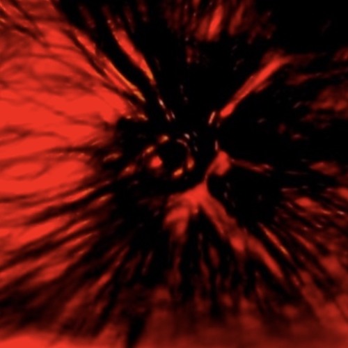 [Trap Door Ceiling]