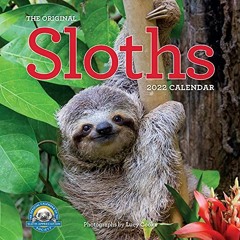 Read online Original Sloths Wall Calendar 2022: 12 months of irresitable cuteness, sloth trivia, sto