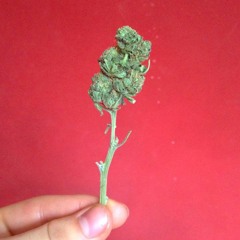 High Today