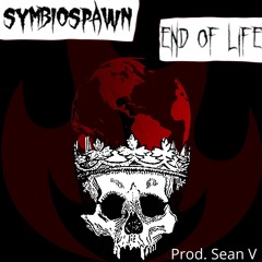 END OF LIFE (prod. Sean V)