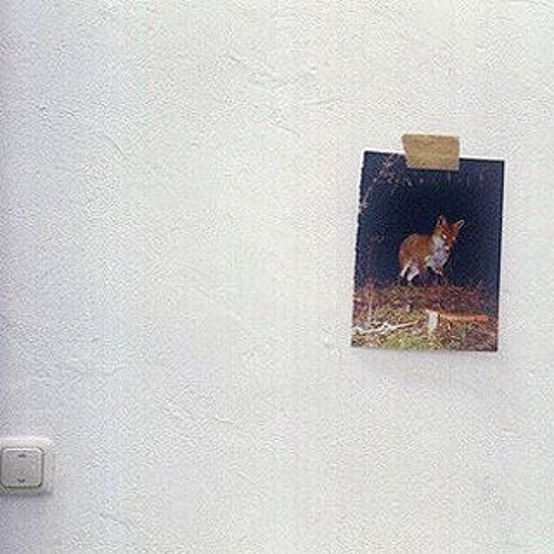 scrapped demo 4.6.25