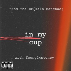 insanekid - In My Cup (official Raw Audio) Ft. Young24stoney