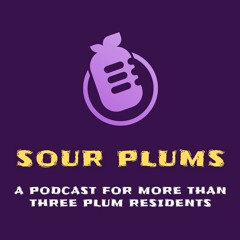 Episode 15: Penn Hills Is Really Big! | Guest PA State Senate Candidate Jen Dintini