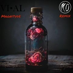 VI•AL - Magnitude (Mand0 Remix)