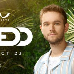 SVLGVDO présente ZEDD @ EDC LAS VEGAS 2021 (FULL SET HQ)