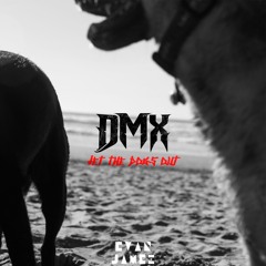 DMX - Let The Dogs Out (Evan James Remix)