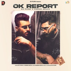 Ok Report  DJ Flow X Karan Aujla | Punjabi Music Fusion|