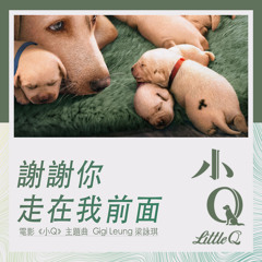 台灣流行歌曲 Taiwan Pop