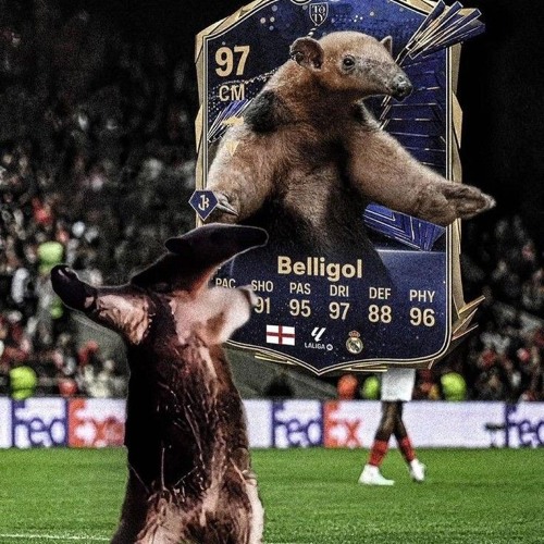 Melodia da selva-slowed and reverb