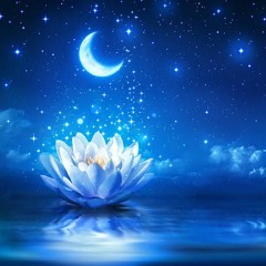 Blue Lotus