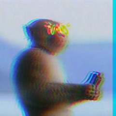 Entropic Behavior (EVERYDAY)