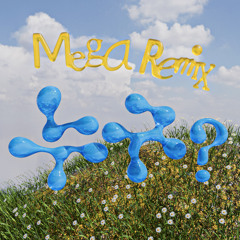 누구? Mega remix