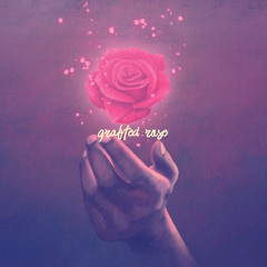 Grafted Rose