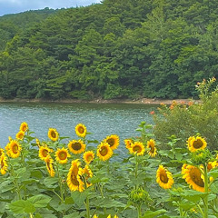 예민 - 어느 산골 소년의 사랑이야기 (piano ver.)