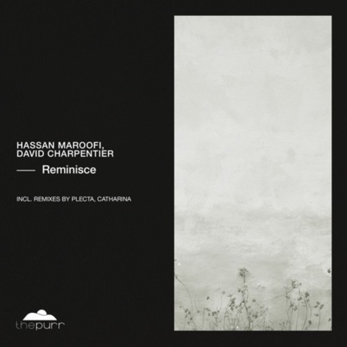 Hassan Maroofi, David Charpentier - Reminisce (Plecta Remix) [The Purr]