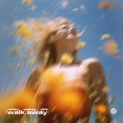 Nofsky, SADBOY & veil9 - Walk Away