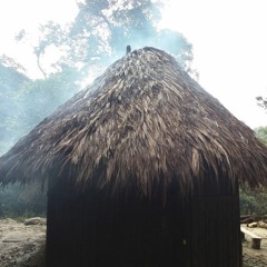Taita Pinta