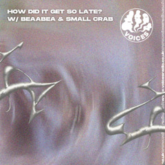 How Did It Get So Late? w/ Beaabea & Small Crab - 09/03/25 - Voices Radio