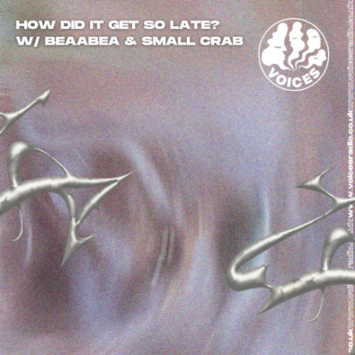 How Did It Get So Late? w/ Beaabea & Small Crab - 09/03/25 - Voices Radio
