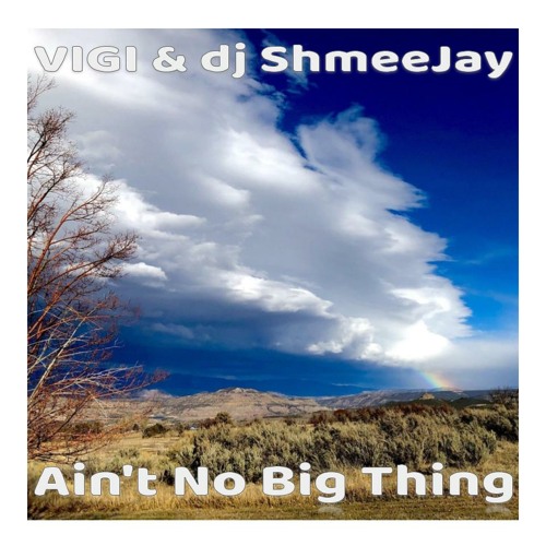 VIGI & dj ShmeeJay - Ain't No Big Thing