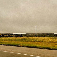 if i dont kms i might die anyway