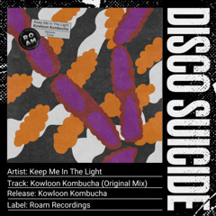 Keep Me In The Light - Kowloon Kombucha (Original Mix) [Roam Recordings]