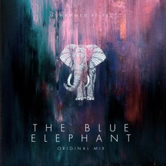 FREE DL: Muhammed Felfel - The Blue Elephant (Original Mix)[RMF021]