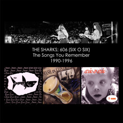 08 The Beach Song (The Sharks, Never...Ever...)