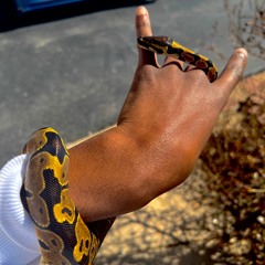 Jaymon - Show Me Yo Hands Freestyle