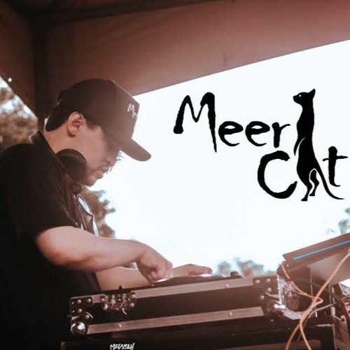 Meercat Live Set Star Music