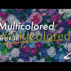 Srav3R - Multicolored
