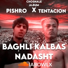 baghali kalbas nadasht