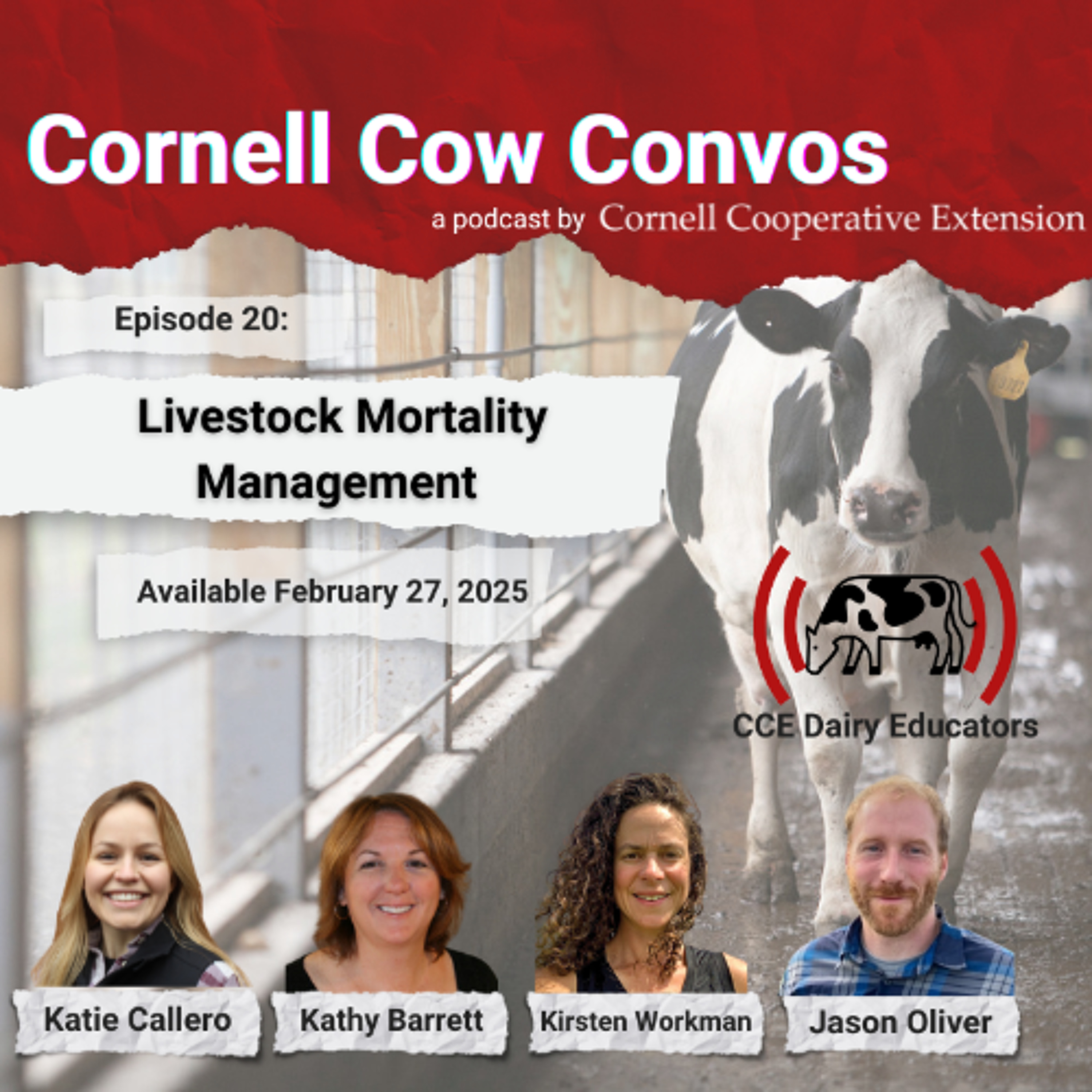 CCE DAIRY EDUCATORS