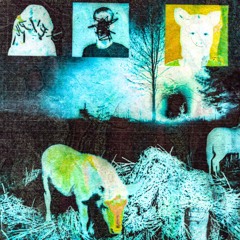 feel my wounds 2am prod. wannawoods